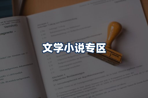 文学小说PDF展示